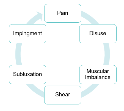 Impingement Syndrome & Rotator Cuff Tears