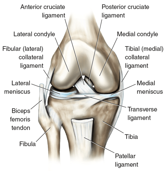 ACL Injury