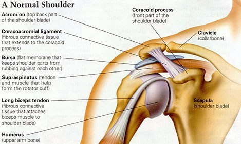 Impingement Syndrome & Rotator Cuff Tears